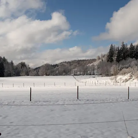 Allgaeu & - 314 3*