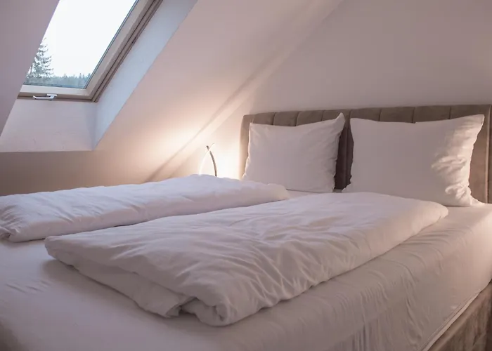 Apart Otel Allgaeu & - 314 3*