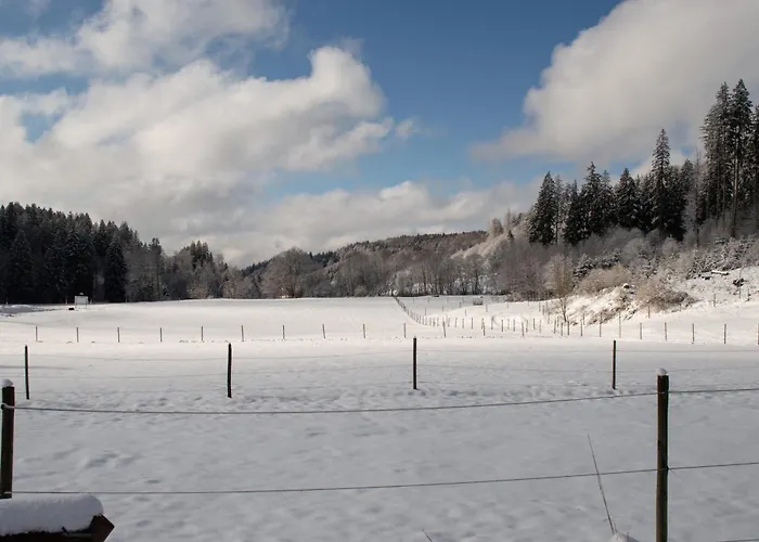 Allgaeu & - 314 3*